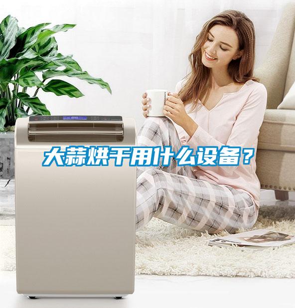 大蒜烘干用什么设备?