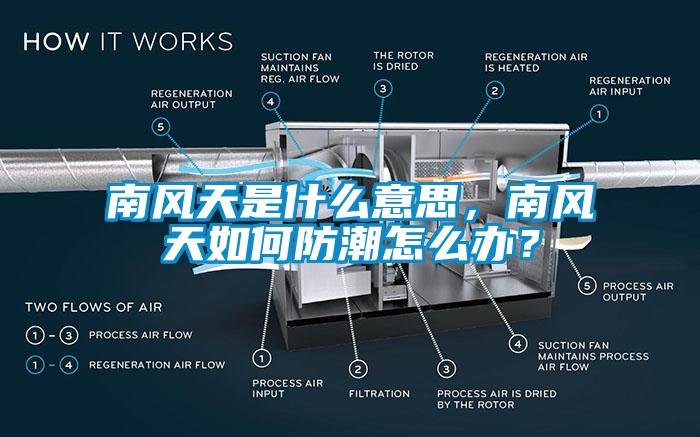 南风天是什么意思,南风天如何防潮怎么办?