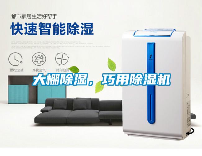 大棚除湿,巧用除湿机