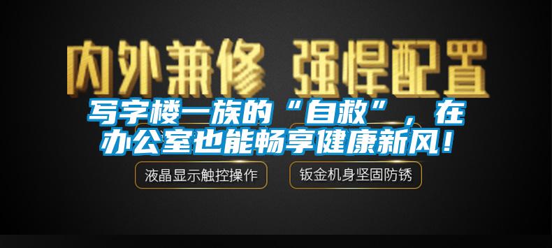 写字楼一族的“自救”,在办公室也能畅享健康新风!