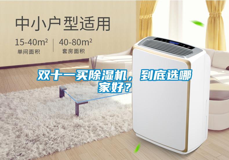 双十一买除湿机,到底选哪家好?