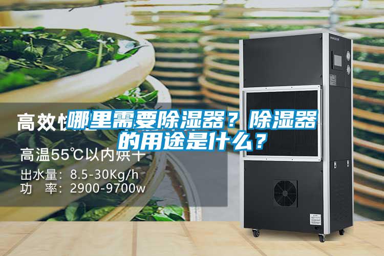 哪里需要除湿器?除湿器的用途是什么?