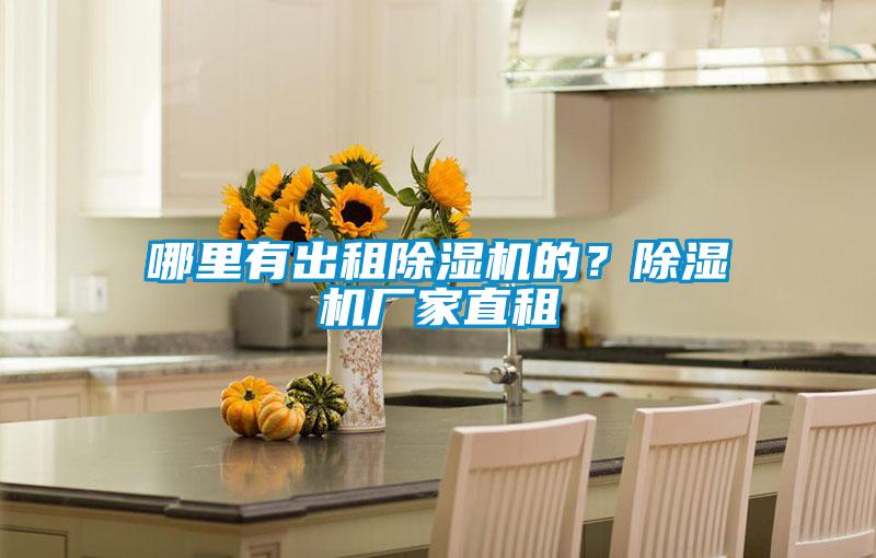 哪里有出租除湿机的?除湿机厂家直租