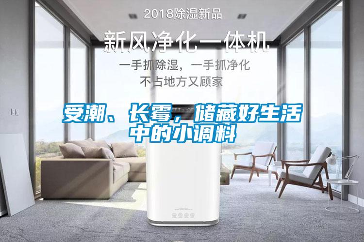 受潮、长霉,储藏好生活中的小调料