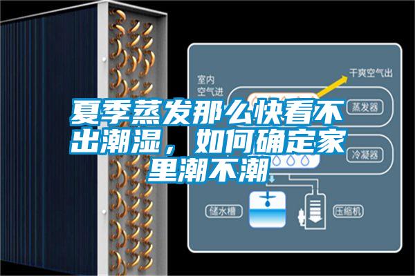 夏季蒸发那么快看不出潮湿,如何确定家里潮不潮