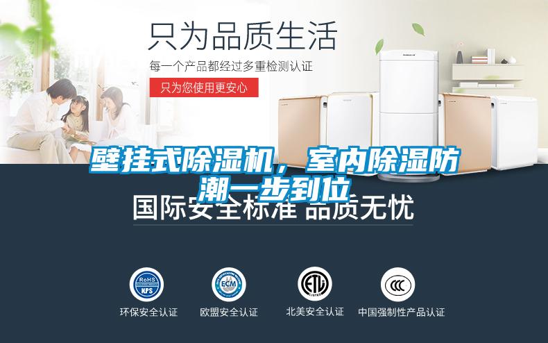 壁挂式除湿机,室内除湿防潮一步到位