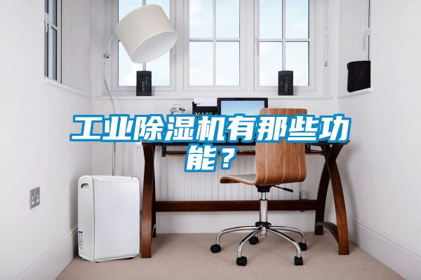 工业除湿机有那些功能?