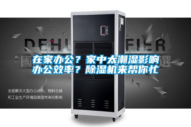 在家办公?家中太潮湿影响办公效率?除湿机来帮你忙