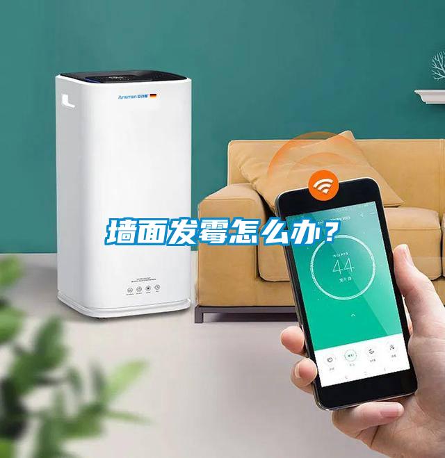 墙面发霉怎么办?