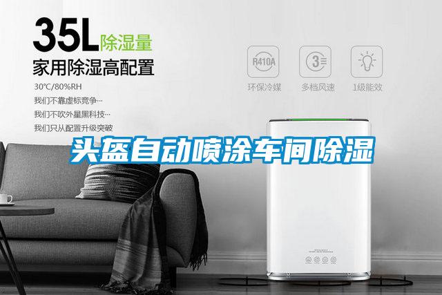 头盔自动喷涂车间除湿