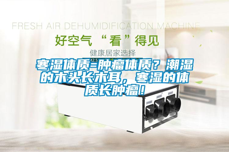 寒湿体质=肿瘤体质?潮湿的木头长木耳,寒湿的体质长肿瘤!