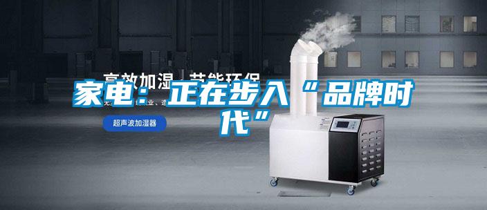 家电:正在步入“品牌时代”