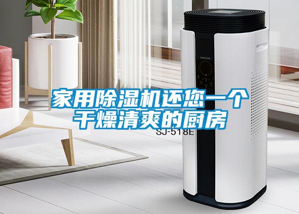 家用除湿机还您一个干燥清爽的厨房