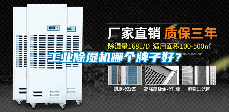 工业除湿机哪个牌子好?