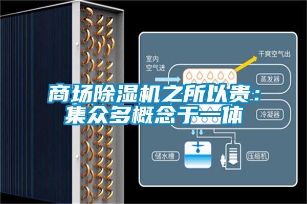 商场除湿机之所以贵:集众多概念于一体