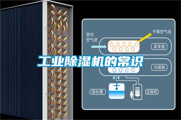 工业除湿机的常识
