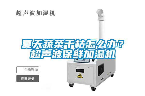 夏天蔬菜干枯怎么办?超声波保鲜加湿机