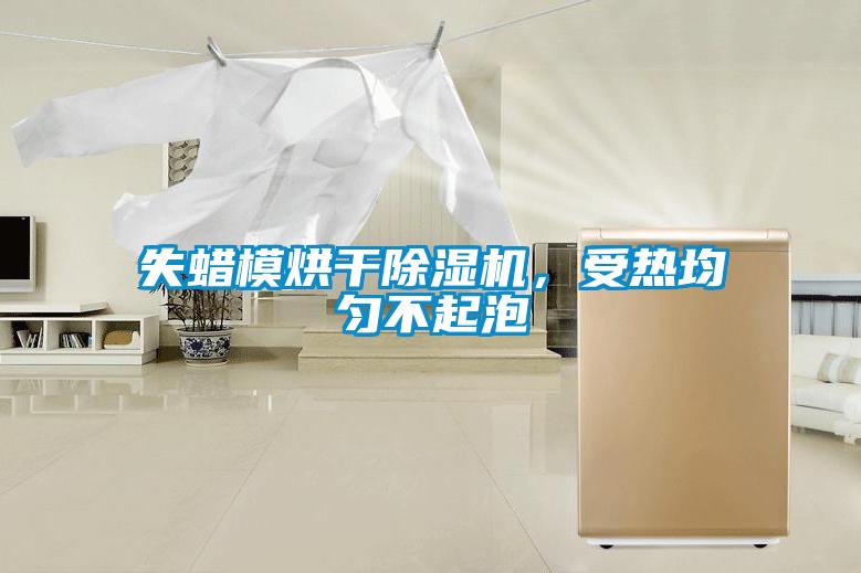 失蜡模烘干除湿机,受热均匀不起泡