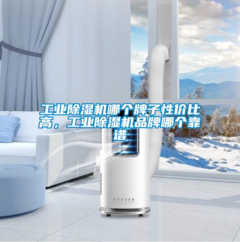 工业除湿机哪个牌子性价比高,工业除湿机品牌哪个靠谱