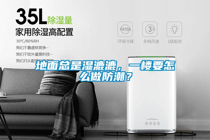 地面总是湿漉漉,一楼要怎么做防潮?