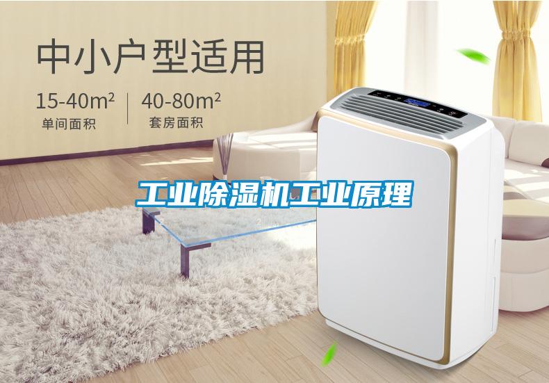 工业除湿机工业原理