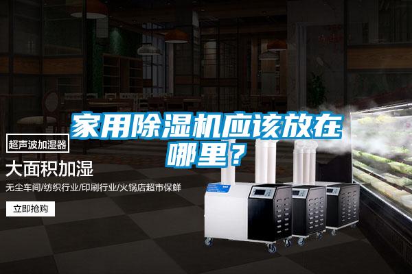 家用除湿机应该放在哪里?