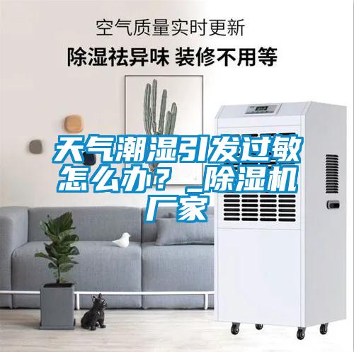 天气潮湿引发过敏怎么办?_除湿机厂家