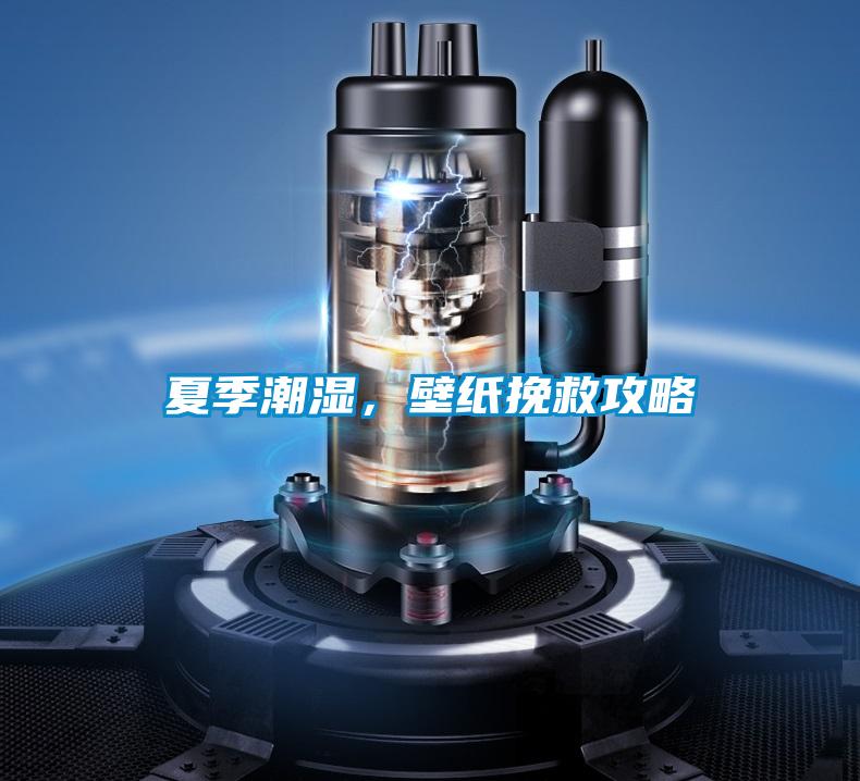 夏季潮湿,壁纸挽救攻略