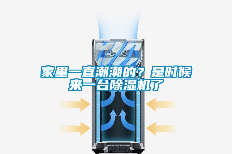 家里一直潮潮的?是时候来一台除湿机了