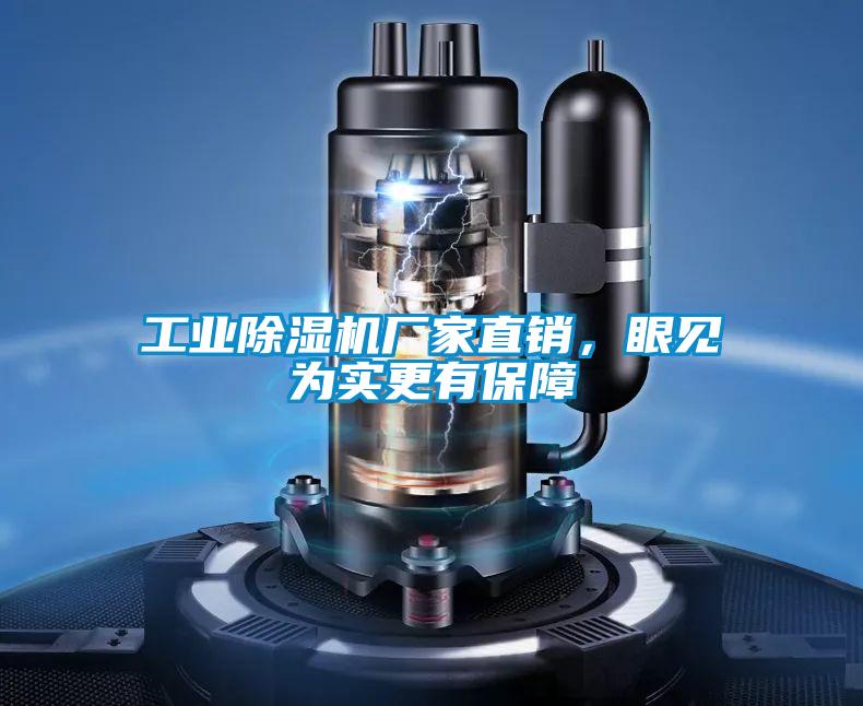 工业除湿机厂家直销,眼见为实更有保障