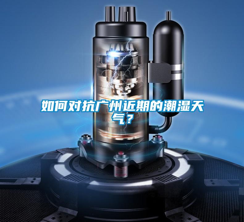 如何对抗广州近期的潮湿天气?