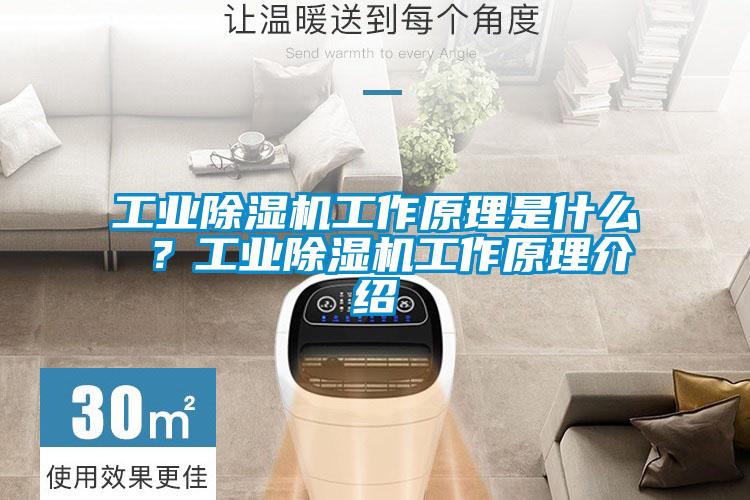 工业除湿机工作原理是什么 ?工业除湿机工作原理介绍