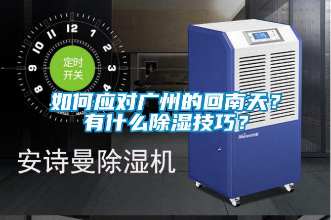 如何应对广州的回南天?有什么除湿技巧?