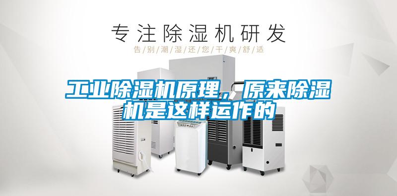 工业除湿机原理,原来除湿机是这样运作的
