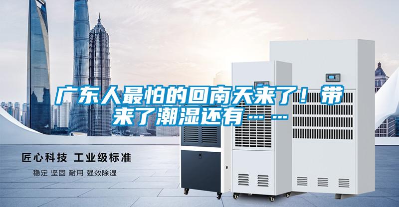 广东人最怕的回南天来了!带来了潮湿还有……