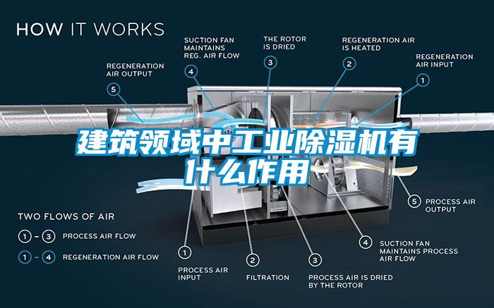 建筑领域中工业除湿机有什么作用