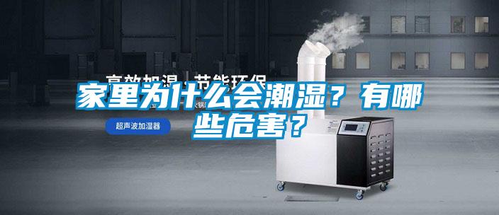 家里为什么会潮湿?有哪些危害?
