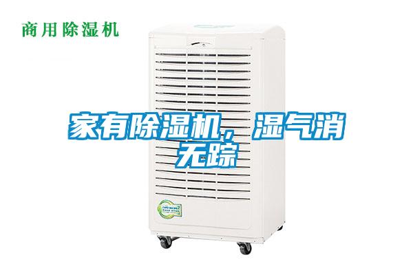 家有除湿机,湿气消无踪
