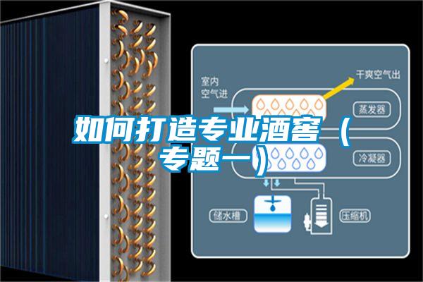 如何打造专业酒窖(专题一)
