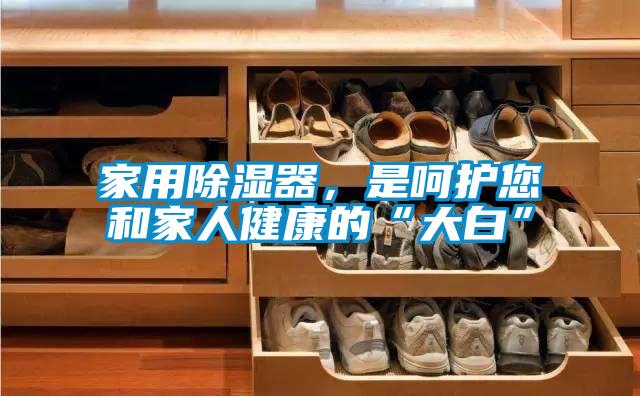 家用除湿器,是呵护您和家人健康的“大白”