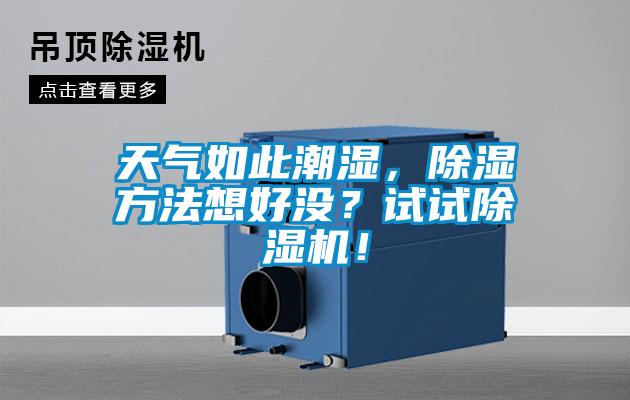 天气如此潮湿,除湿方法想好没?试试除湿机!