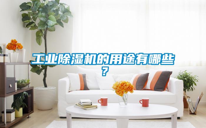 工业除湿机的用途有哪些?