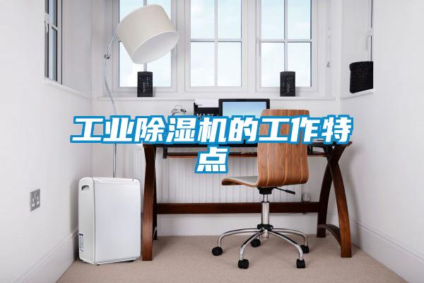 工业除湿机的工作特点