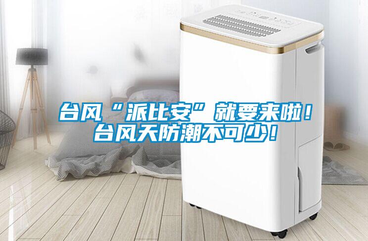 台风“派比安”就要来啦!台风天防潮不可少!