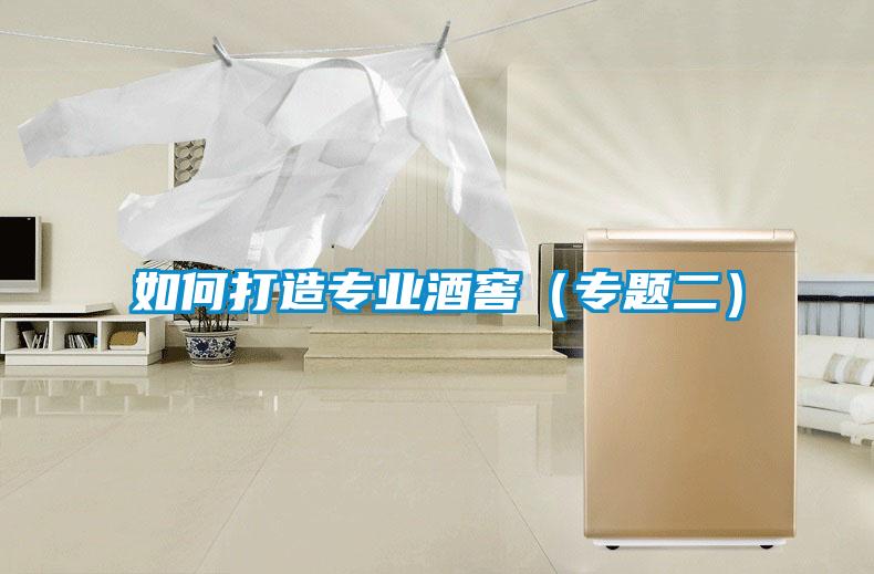 如何打造专业酒窖(专题二)
