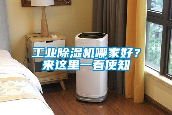 工业除湿机哪家好?来这里一看便知