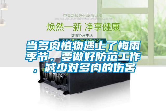 当多肉植物遇上了梅雨季节,要做好防范工作,减少对多肉的伤害