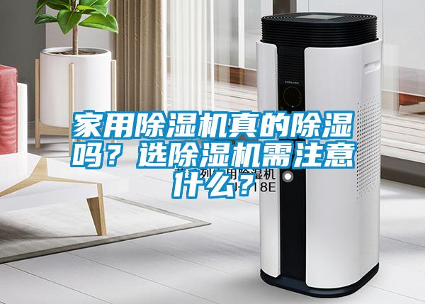 家用除湿机真的除湿吗?选除湿机需注意什么?