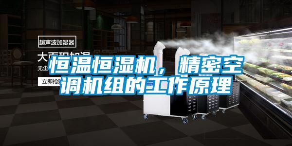 恒温恒湿机,精密空调机组的工作原理