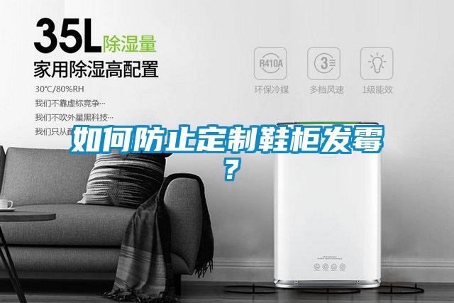 如何防止定制鞋柜发霉?